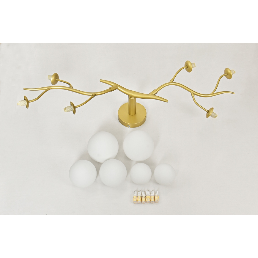 Brilagi - LED Ant pagrindo montuojamas sietynas MISTEL 6xG9/3W/230V auksas/balta