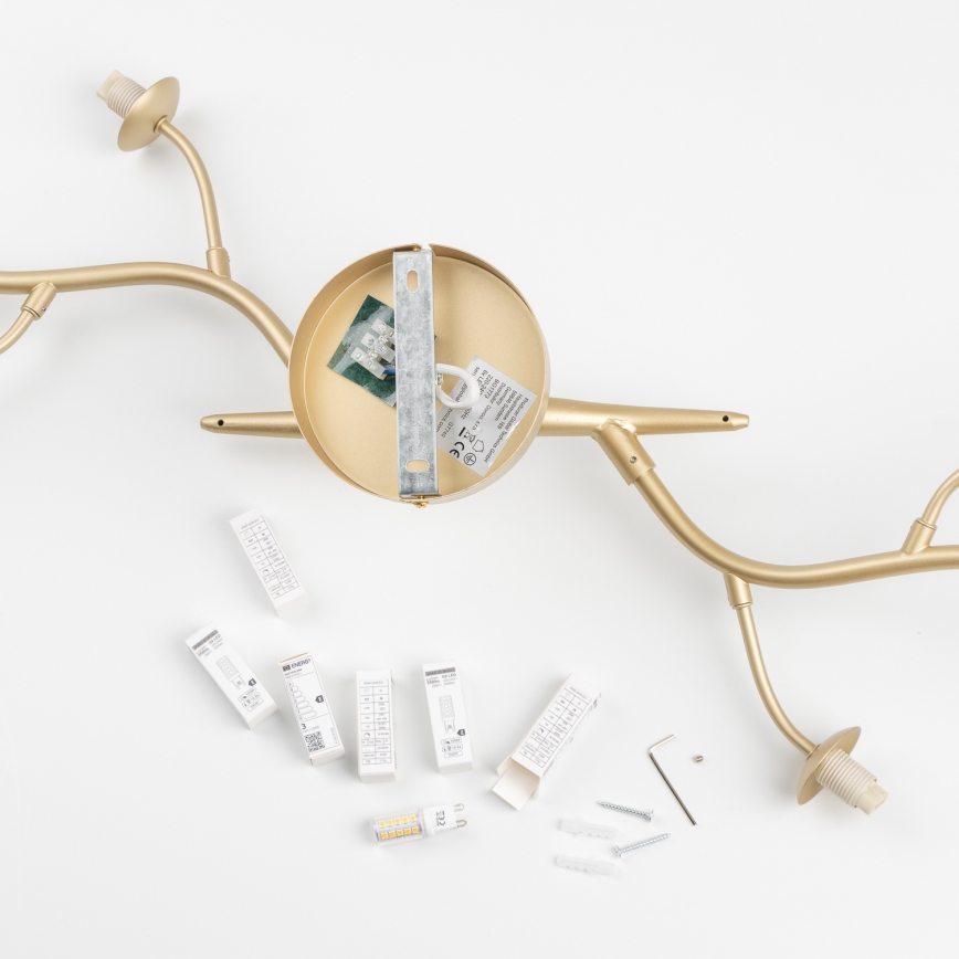 Brilagi - LED Ant pagrindo montuojamas sietynas MISTEL 6xG9/3W/230V auksas/balta