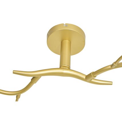 Brilagi - LED Ant pagrindo montuojamas sietynas MISTEL 6xG9/3W/230V auksas