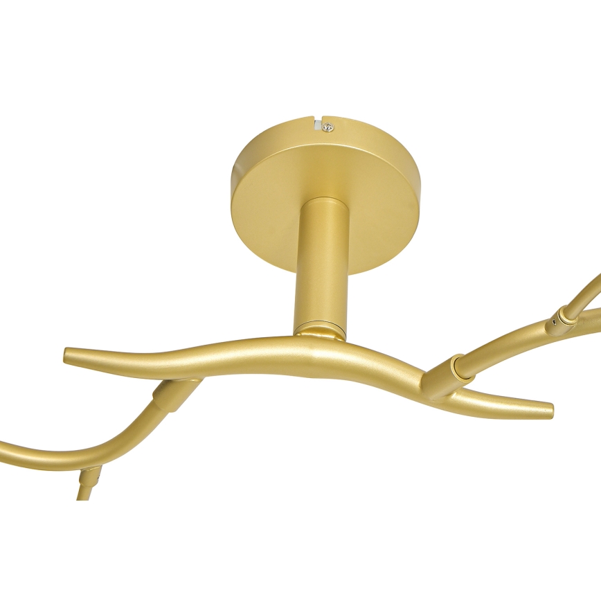Brilagi - LED Ant pagrindo montuojamas sietynas MISTEL 6xG9/3W/230V auksas