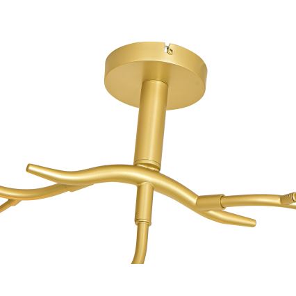 Brilagi - LED Ant pagrindo montuojamas sietynas MISTEL 9xG9/3W/230V auksas