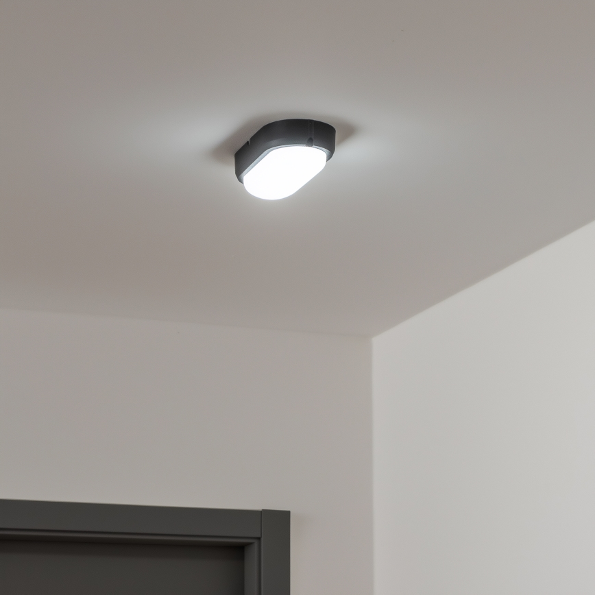 Brilagi - LED Ceiling heavy-duty šviesus SIMA LED/12W/230V IP65 juoda