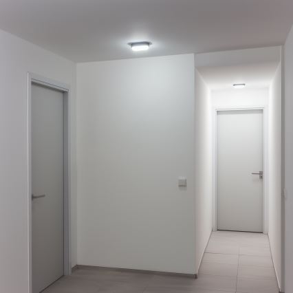 Brilagi - LED Ceiling heavy-duty šviesus SIMA LED/12W/230V IP65 juoda