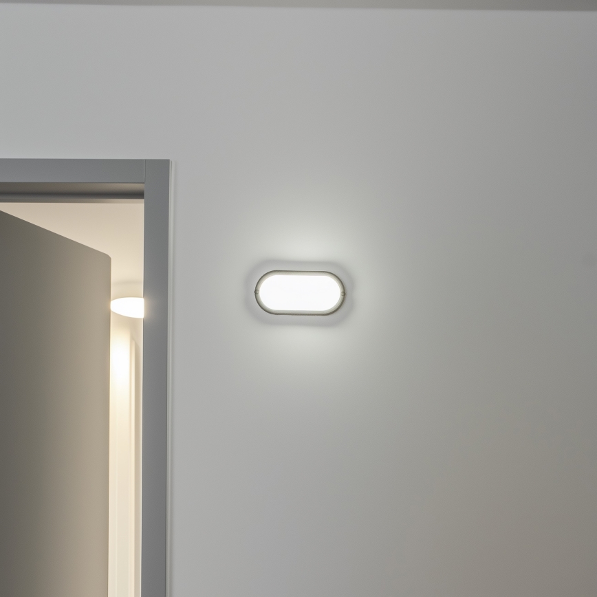 Brilagi - LED Ceiling heavy-duty šviesus SIMA LED/12W/230V IP65 juoda