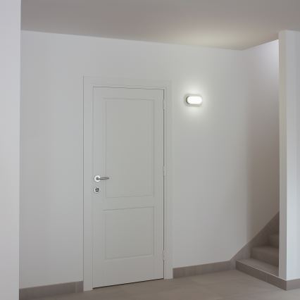 Brilagi - LED Ceiling heavy-duty šviesus SIMA LED/12W/230V IP65 juoda