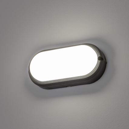 Brilagi - LED Ceiling heavy-duty šviesus SIMA LED/12W/230V IP65 juoda