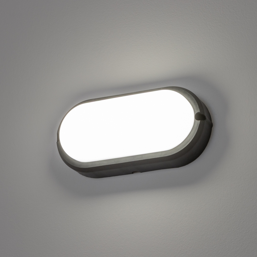 Brilagi - LED Ceiling heavy-duty šviesus SIMA LED/12W/230V IP65 juoda