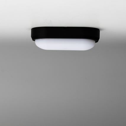 Brilagi - LED Ceiling heavy-duty šviesus SIMA LED/12W/230V IP65 juoda
