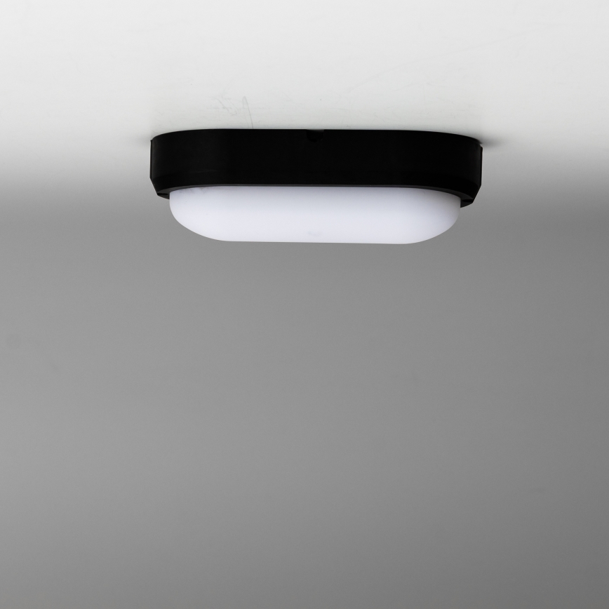 Brilagi - LED Ceiling heavy-duty šviesus SIMA LED/12W/230V IP65 juoda