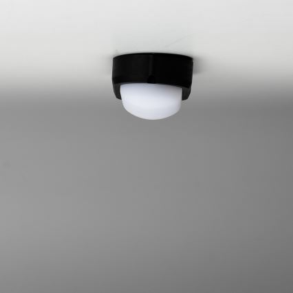 Brilagi - LED Ceiling heavy-duty šviesus SIMA LED/12W/230V IP65 juoda
