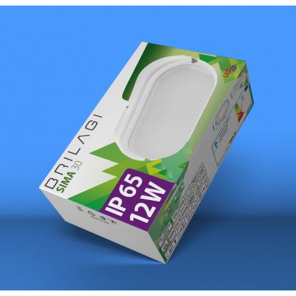Brilagi - LED Ceiling heavy-duty šviesus SIMA LED/12W/230V IP65 juoda