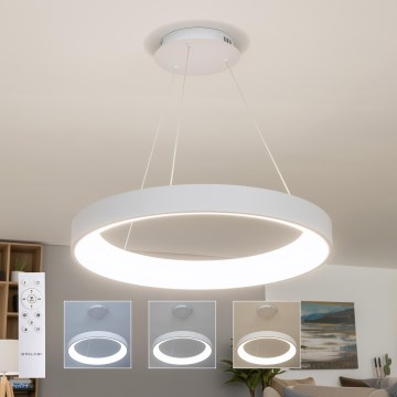 BRILAGI - LED dimeriu reguliuojama pakabinama liustra FALCON II LED/99W/230V 3000–6500K, skersmuo 60 cm, balta, su nuotoliniu pulteliu