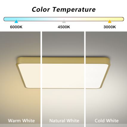Brilagi - LED reguliuojamo ryškumo lubų šviestuvas POOL LED/48W/230V 3000-6000K 50x50 cm auksinis + nuotolinis valdymas