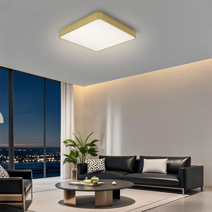 Brilagi - LED reguliuojamo ryškumo lubų šviestuvas POOL LED/48W/230V 3000-6000K 50x50 cm auksinis + nuotolinis valdymas