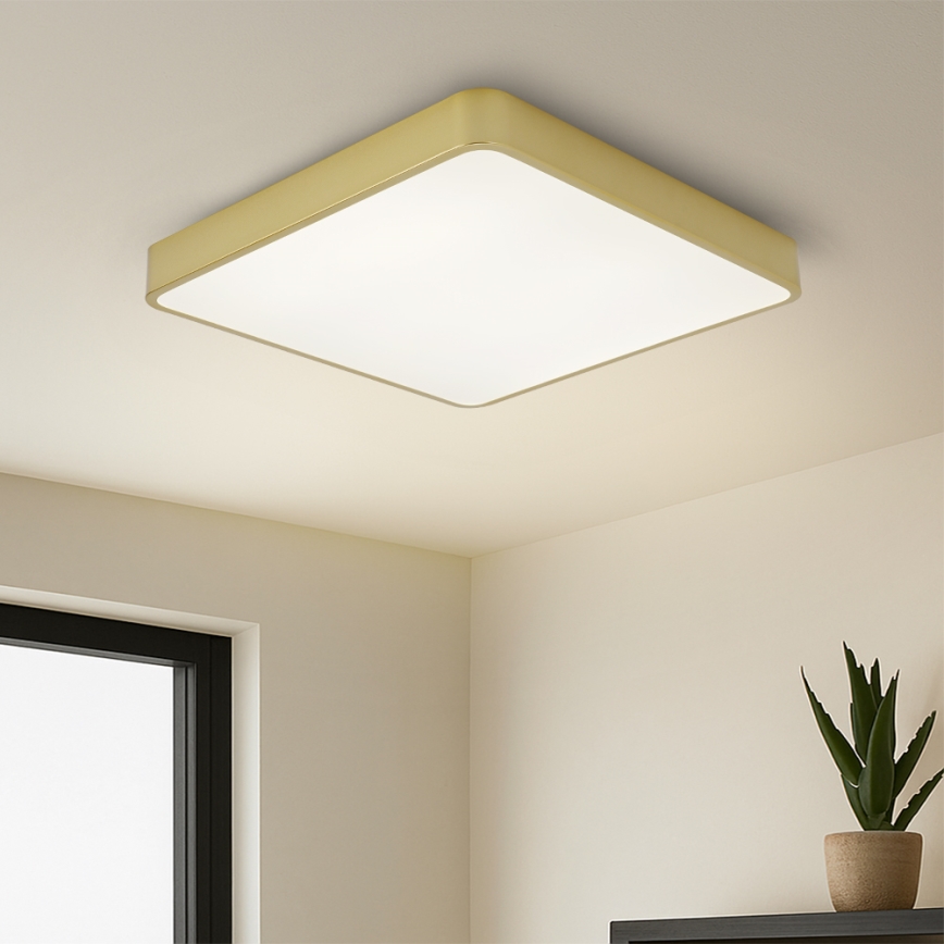 BRILAGI - LED reguliuojamo ryškumo lubų šviestuvas POOL SQUARE LED/48W/230V 3000-6000K 50x50 cm auksinis + nuotolinis valdymas