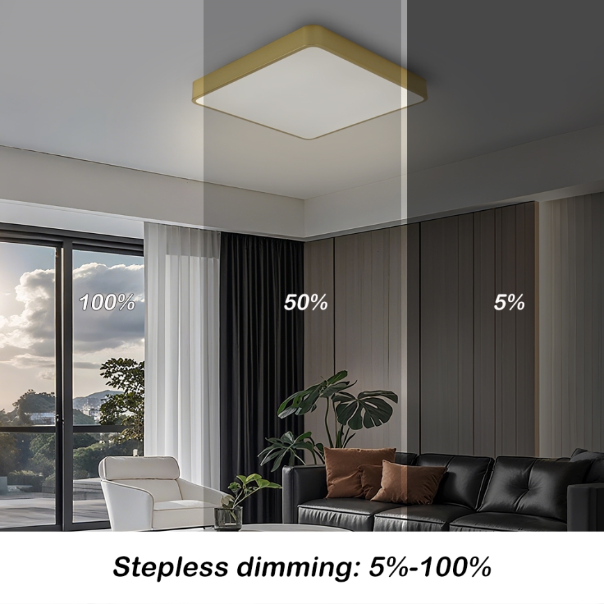 BRILAGI - LED reguliuojamo ryškumo lubų šviestuvas POOL SQUARE LED/48W/230V 3000-6000K 50x50 cm auksinis + nuotolinis valdymas
