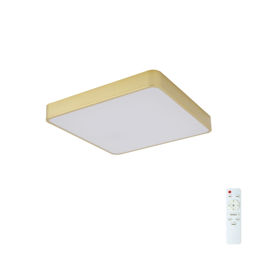 BRILAGI - LED reguliuojamo ryškumo lubų šviestuvas POOL SQUARE LED/48W/230V 3000-6000K 50x50 cm auksinis + nuotolinis valdymas