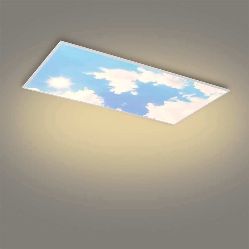 Brilagi - Dimeriuojamas LED lubų šviestuvas SLIMFRAME SKY LED/80W/230V 120x60 cm 3000-6000K sidabrinė/mėlyna + nuotolinis valdymas