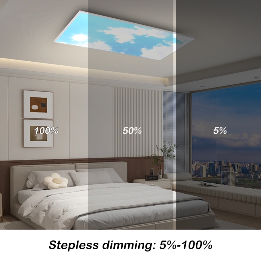 Brilagi - Dimeriuojamas LED lubų šviestuvas SLIMFRAME SKY LED/80W/230V 120x60 cm 3000-6000K sidabrinė/mėlyna + nuotolinis valdymas