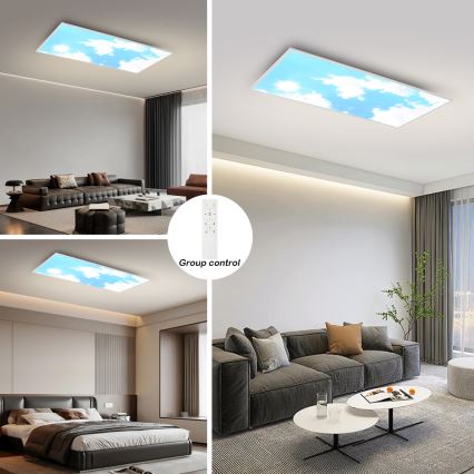 Brilagi - Dimeriuojamas LED lubų šviestuvas SLIMFRAME SKY LED/80W/230V 120x60 cm 3000-6000K sidabrinė/mėlyna + nuotolinis valdymas