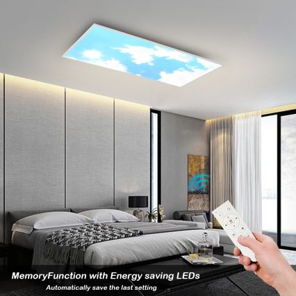 Brilagi - Dimeriuojamas LED lubų šviestuvas SLIMFRAME SKY LED/80W/230V 120x60 cm 3000-6000K sidabrinė/mėlyna + nuotolinis valdymas