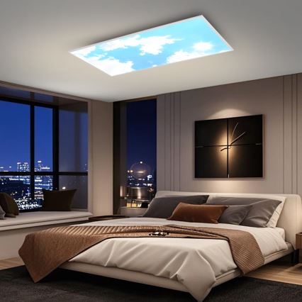 Brilagi - Dimeriuojamas LED lubų šviestuvas SLIMFRAME SKY LED/80W/230V 120x60 cm 3000-6000K sidabrinė/mėlyna + nuotolinis valdymas