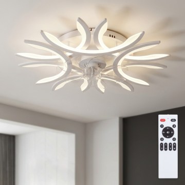 Brilagi - LED dimeriu reguliuojamas lubų ventiliatorius LED/70W/230V 3000-6500K skersmuo 76 cm baltas + nuotolinio valdymo pultas