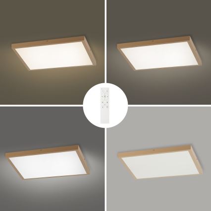 Brilagi - dimeriuojamas LED vonios kambario lubinis šviestuvas FRAME SMART LED/50W/230V 60x60 cm 3000-6000K IP44 smėlinė + nuotolinis valdymas