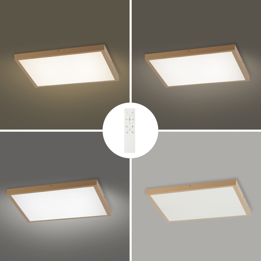 Brilagi - dimeriuojamas LED vonios kambario lubinis šviestuvas FRAME SMART LED/50W/230V 60x60 cm 3000-6000K IP44 smėlinė + nuotolinis valdymas