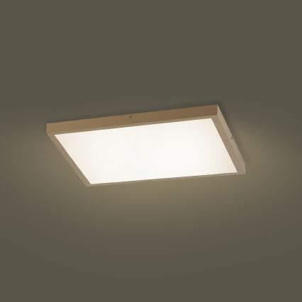 Brilagi - dimeriuojamas LED vonios kambario lubinis šviestuvas FRAME SMART LED/50W/230V 60x60 cm 3000-6000K IP44 smėlinė + nuotolinis valdymas