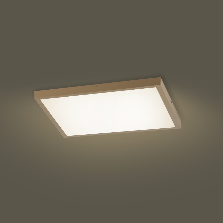 Brilagi - dimeriuojamas LED vonios kambario lubinis šviestuvas FRAME SMART LED/50W/230V 60x60 cm 3000-6000K IP44 smėlinė + nuotolinis valdymas