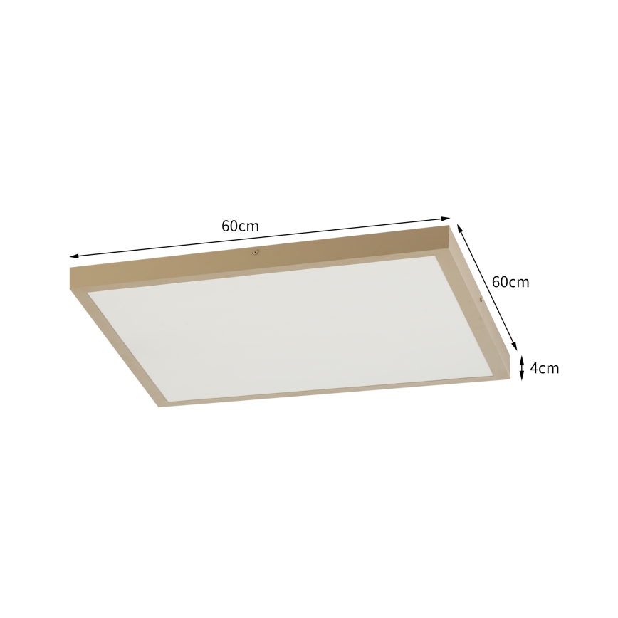 Brilagi - dimeriuojamas LED vonios kambario lubinis šviestuvas FRAME SMART LED/50W/230V 60x60 cm 3000-6000K IP44 smėlinė + nuotolinis valdymas