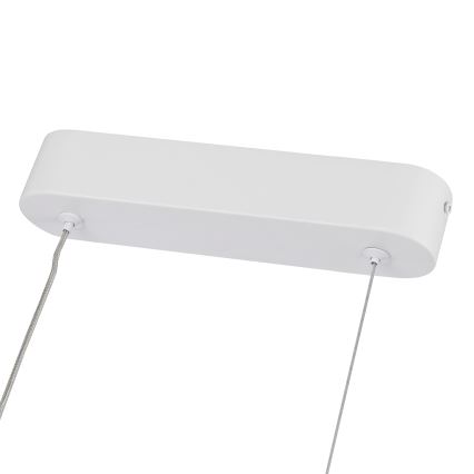 Brilagi - LED reguliuojamas pakabinamas šviestuvas ant laido TWISTER LED/60W/230V 3000-6000K baltas + nuotolinis valdymas
