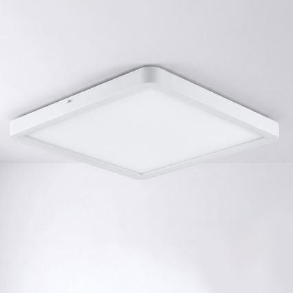 Brilagi - LED dimeriuojamas lubinis šviestuvas ESTELA SQUARE LED/36W/230V 3000-6500K 31x31 cm baltas + nuotolinio valdymo pultas
