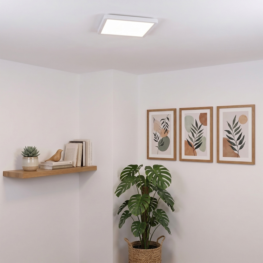 Brilagi - LED dimeriuojamas lubinis šviestuvas ESTELA SQUARE LED/36W/230V 3000-6500K 31x31 cm baltas + nuotolinio valdymo pultas