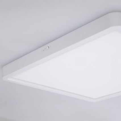 Brilagi - LED dimeriuojamas lubinis šviestuvas ESTELA SQUARE LED/36W/230V 3000-6500K 31x31 cm baltas + nuotolinio valdymo pultas
