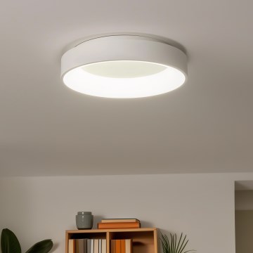 Brilagi - LED dimeriuojamas lubinis šviestuvas FALCON LED/80W/230V 3000-6500K skers. 60 cm baltas + nuotolinio valdymo pultas