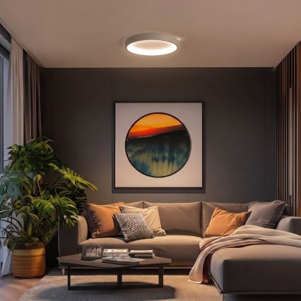 BRILAGI - LED lubinis šviestuvas su reguliuojamu ryškumu FALCON SLIM LED/42W/230V 3000-6500K skersmuo 50 cm balta/bėžinė + nuotolinis valdymas