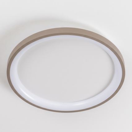 BRILAGI - LED lubinis šviestuvas su reguliuojamu ryškumu FALCON SLIM LED/42W/230V 3000-6500K skersmuo 50 cm balta/bėžinė + nuotolinis valdymas