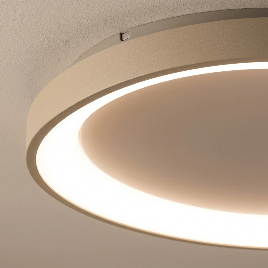 BRILAGI - LED lubinis šviestuvas su reguliuojamu ryškumu FALCON SLIM LED/42W/230V 3000-6500K skersmuo 50 cm balta/bėžinė + nuotolinis valdymas
