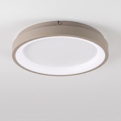BRILAGI - LED lubinis šviestuvas su reguliuojamu ryškumu FALCON SLIM LED/42W/230V 3000-6500K skersmuo 50 cm balta/bėžinė + nuotolinis valdymas