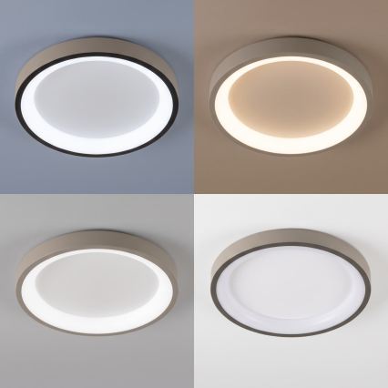 BRILAGI - LED lubinis šviestuvas su reguliuojamu ryškumu FALCON SLIM LED/42W/230V 3000-6500K skersmuo 50 cm balta/bėžinė + nuotolinis valdymas