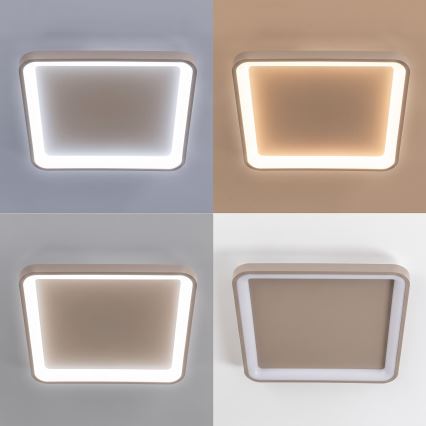 BRILAGI - LED dimeriuojamas lubinis šviestuvas FALCON SLIM LED/50W/230V 3000-6500K 50x50 cm smėlinis + su nuotoliniu pulteliu