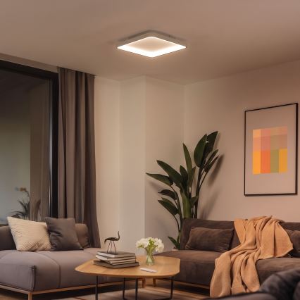 BRILAGI - LED Reguliuojamas lubinis šviestuvas FALCON SLIM LED/50W/230V 3000-6500K 50x50 cm baltas/smėlinis + nuotolinis valdymas