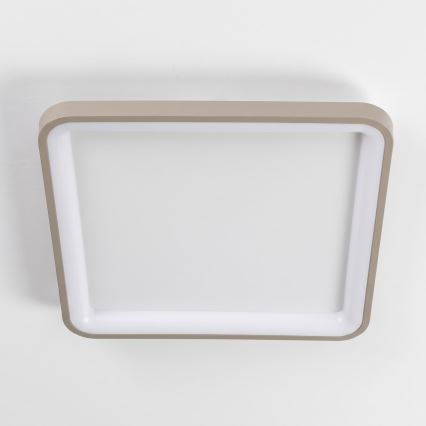 BRILAGI - LED Reguliuojamas lubinis šviestuvas FALCON SLIM LED/50W/230V 3000-6500K 50x50 cm baltas/smėlinis + nuotolinis valdymas