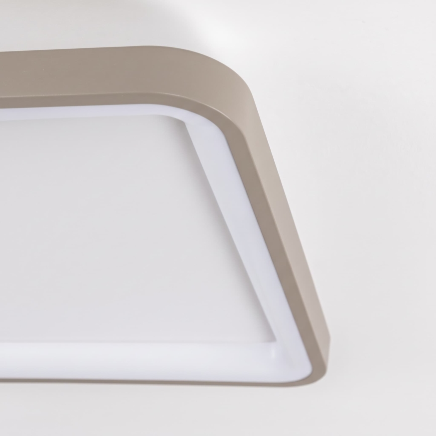 BRILAGI - LED Reguliuojamas lubinis šviestuvas FALCON SLIM LED/50W/230V 3000-6500K 50x50 cm baltas/smėlinis + nuotolinis valdymas