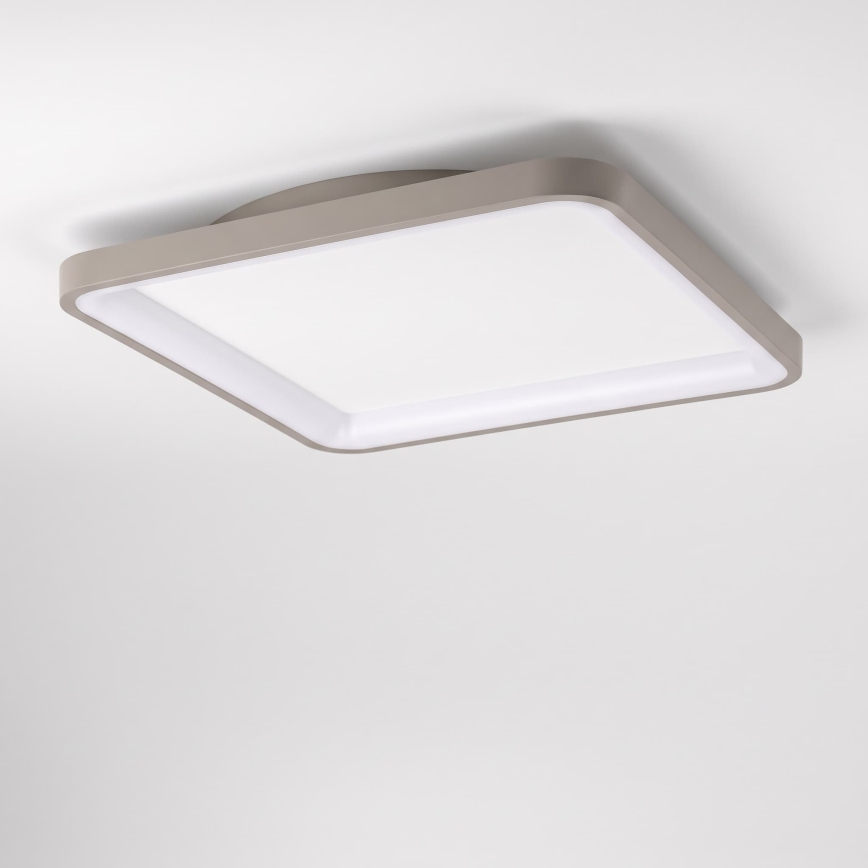 BRILAGI - LED Reguliuojamas lubinis šviestuvas FALCON SLIM LED/50W/230V 3000-6500K 50x50 cm baltas/smėlinis + nuotolinis valdymas