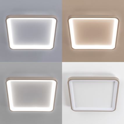 BRILAGI - LED Reguliuojamas lubinis šviestuvas FALCON SLIM LED/50W/230V 3000-6500K 50x50 cm baltas/smėlinis + nuotolinis valdymas