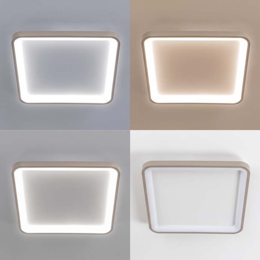 BRILAGI - LED Reguliuojamas lubinis šviestuvas FALCON SLIM LED/50W/230V 3000-6500K 50x50 cm baltas/smėlinis + nuotolinis valdymas