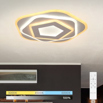 Brilagi - LED dimeriuojamas lubinis šviestuvas MODERN MINI LED/53W/230V 3000-6000K skersmuo 30 cm + nuotolinis valdymas
